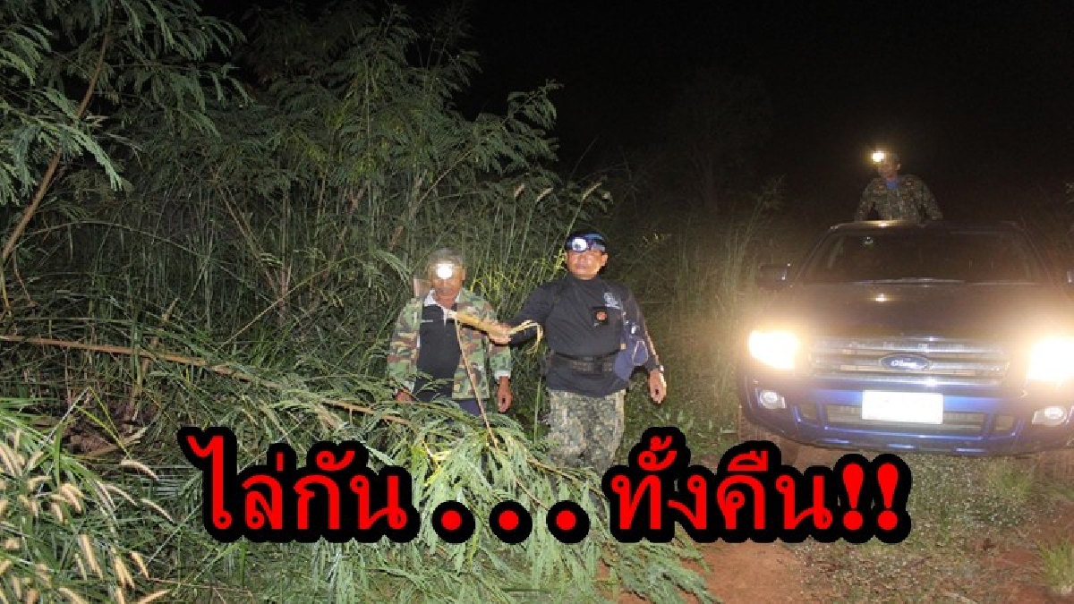 ไม่รู้จะทำไงแล้ว!! ช้างป่าออกหากิน เข้าบุกรุกพื้นที่การเกษตรชาวบ้าน ต้องคอยจุดประทัดไล่ (คลิป)