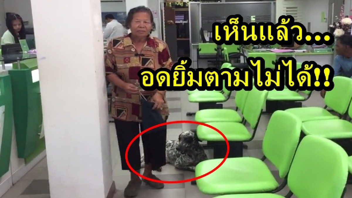 เห็นแล้ว...อดยิ้มตามไม่ได้!! "บ๊อกกี้" หมาผู้คอยอารักขาคุณยายวัย 66 ปี เดินตามไม่ให้ห่างสายตา สร้างความประทับใจให้แก่ผู้พบเห็นเป็นอย่างมาก