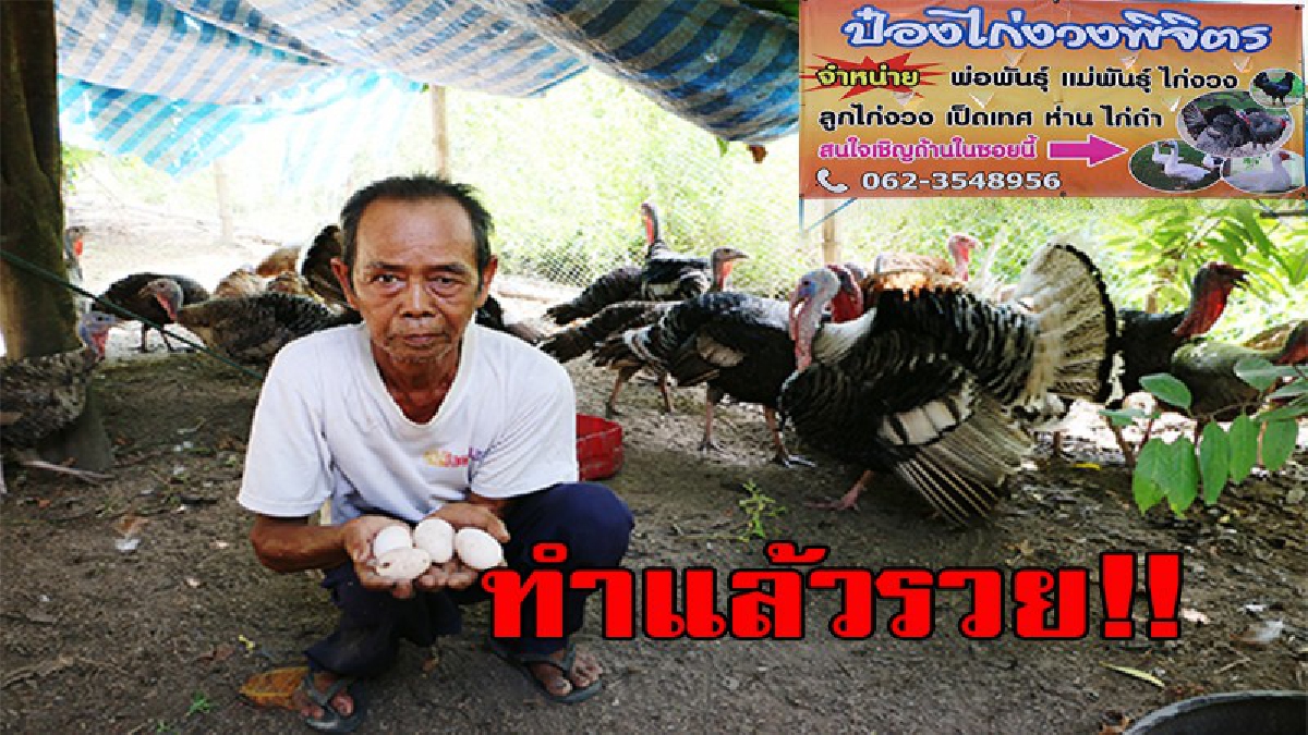 เส้นทางรวย..อาชีพเสริมแต่รายได้มหาศาล ลุงวัย 73 เพาะพันธุ์ไก่งวง-เป็ดเทศ ขายรายได้เป็นกอบเป็นกำ