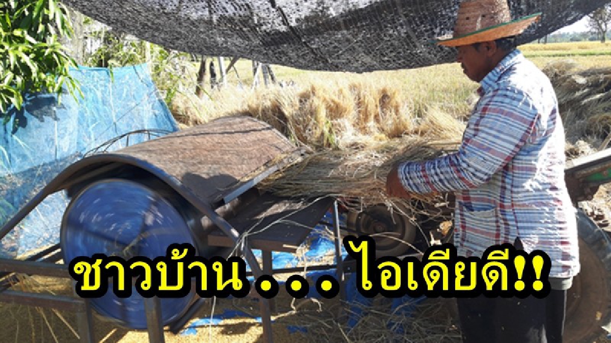 ชาวบ้านไอเดียดี!! นำถังน้ำมันเก่า มาประดิษฐ์เป็นเครื่องนวดข้าวไว้ใช้เอง เพื่อลดค่าใช้จ่ายในการจ้าง และทุ่นแรง