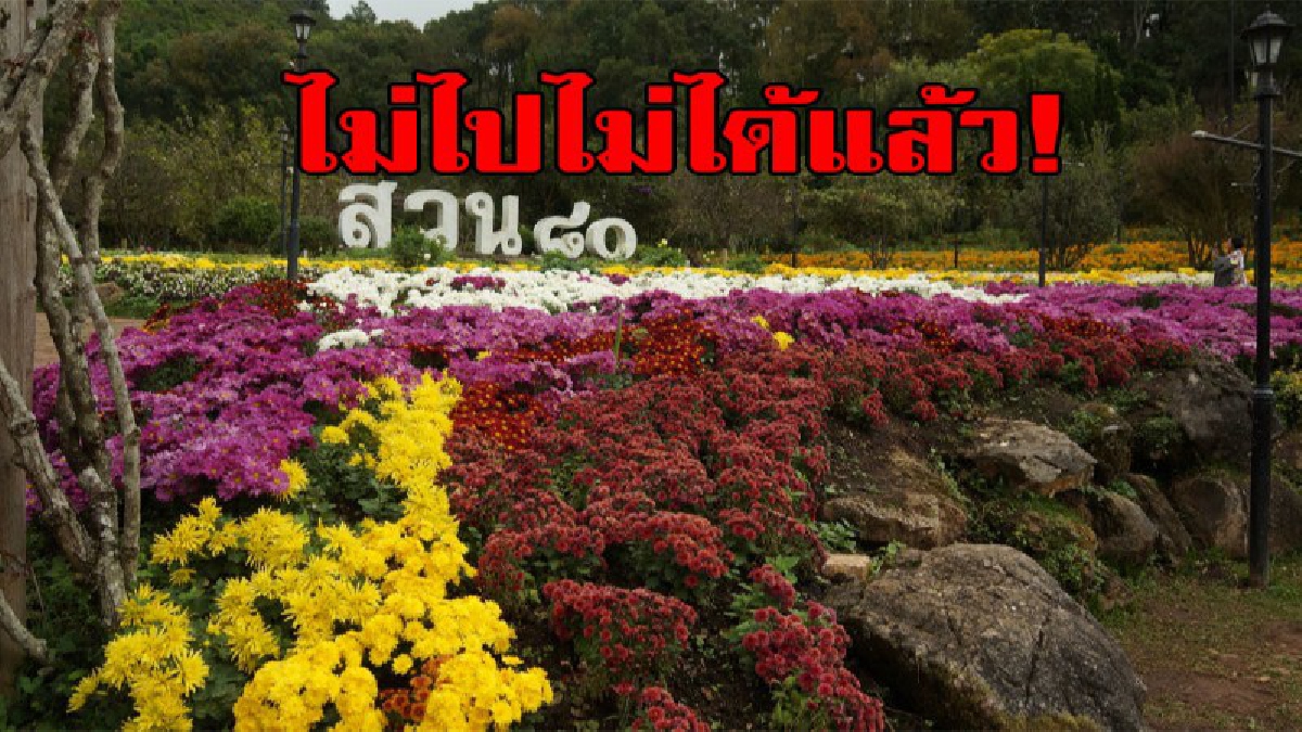 หนาวนี้เที่ยวไหน....อ่างขางกันไหม ดอกไม้บานสะพรั่งสวยสดงดงาม ใครไปต้องหลงใหลในมนต์เสน่ห์ มิรู้ลืม