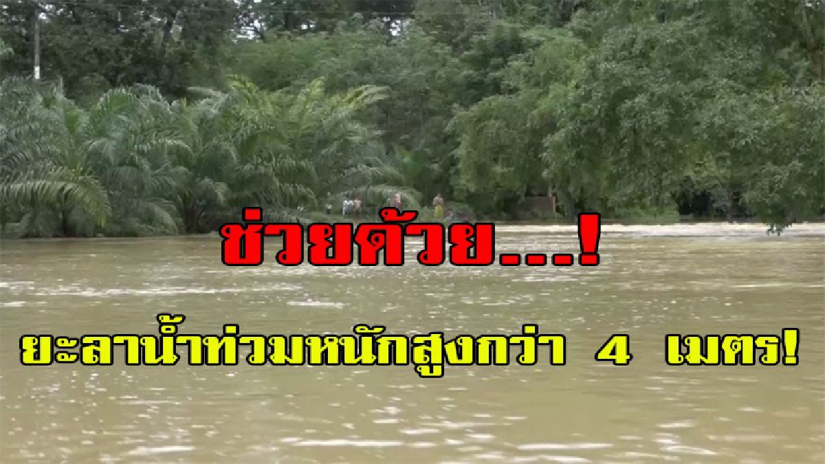ด่วน!! ยะลาเดือดร้อนหนัก น้ำท่วม สูงกว่า 4 เมตร ถูกตัดขาดจากโลกภายนอก อาหารขาดแคลน มีผู้เสียชีวิต และสูญหาย