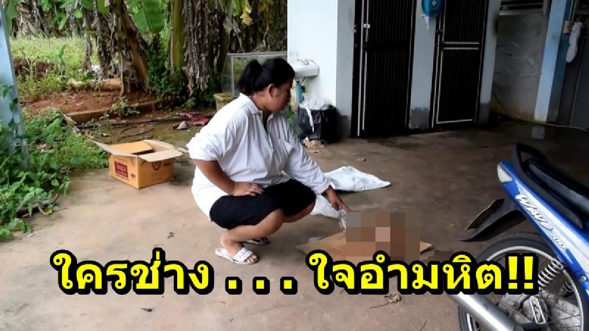 ใจอำมหิต!! เจ้าของแสนเศร้า เห็นสุนัขโดนยาเบื่อ ดิ้นทุรนทุรายตายต่อหน้า คาดมีคนไม่พอใจ ที่โดนไล่เห่า