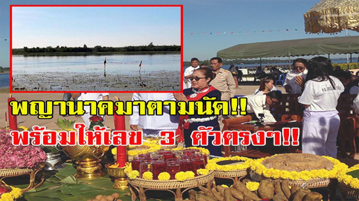 คอหวยเตรียมเฮ!!!!! มาอีกแล้ว!! ปู่อือลือพญานาคมาตามนัดปรากฏร่างกลางบึงเห็นกันจะจะ พร้อมบอกหวยให้โชค!!