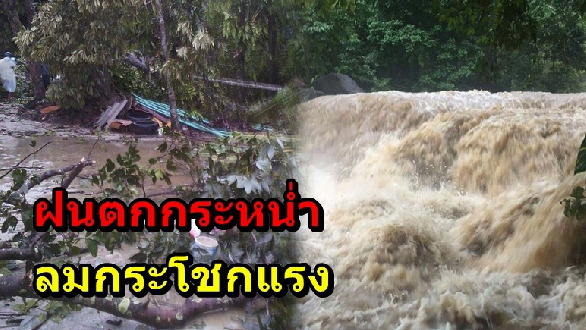 เมืองคอนวิกฤตหนัก!! ฝนตกกระหน่ำ เกิดลมกระโชกแรง พัดบ้านเรือนพัง กระแสน้ำไหลเชียว เตือนประชาชนเฝ้าระวัง พร้อมรับมือ