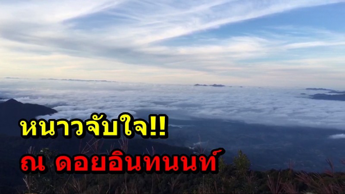 หนาวจับใจ ณ ดอยอินทนนท์!! นักท่องเที่ยวคึกคัก แห่ชมแม่คะนิ้ง ประชาชนจองที่พักกันอย่างเนืองแน่น