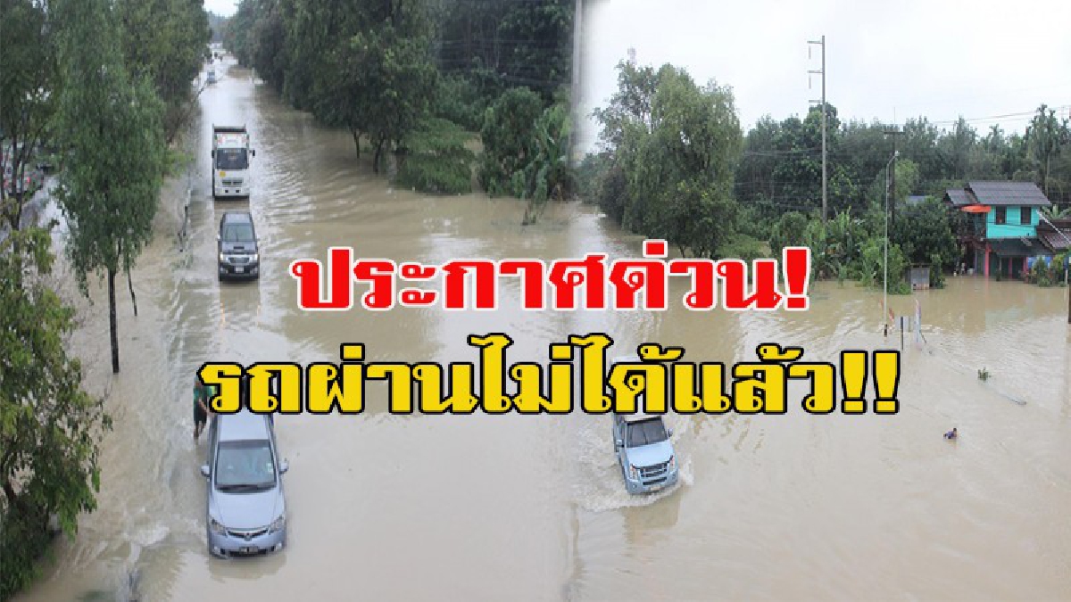 ประกาศด่วน!!!!! รถผ่านไม่ได้แล้ว!!! น้ำไหลเข้าท่วมถนนสายเพชรเกษม ช่วงพัทลุง - หาดใหญ่ รถทุกชนิดผ่านไม่ได้ หลังน้ำป่าไหลหลากเข้าท่วม