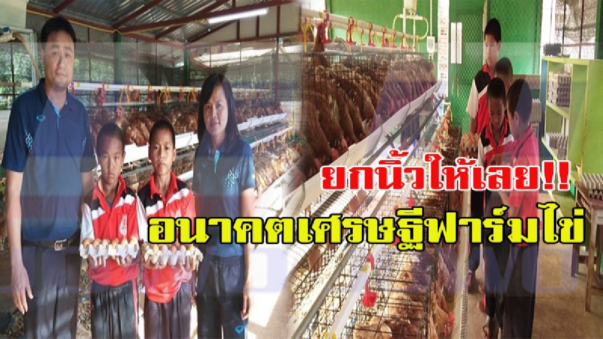 อนาคตเศรษฐีฟาร์มไข่!!! ครูบนดอยพบพระไอเดียเจ๋ง!! ฝึกอาชีพเด็กนักเรียนเลี้ยงไก่ไข่ อาหารยอดนิยมของคนไทย สร้างรายได้นำไปใช้ในชีวิตจริง
