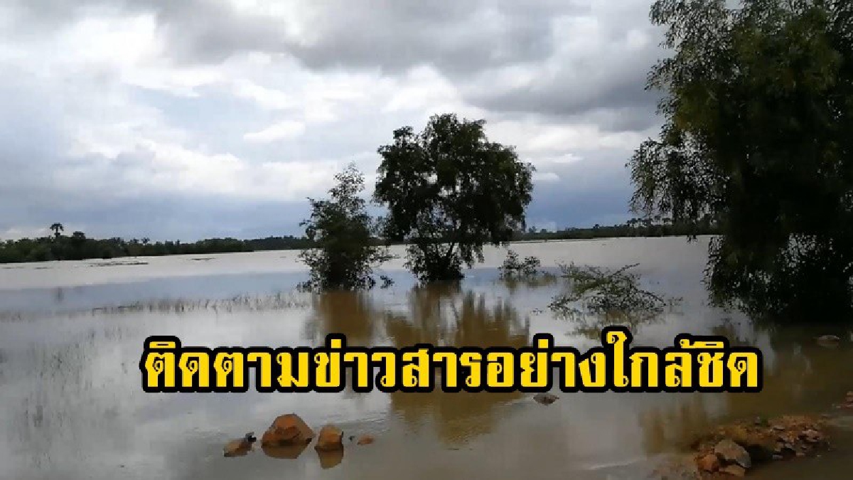 ติดตามข่าวสารอย่างใกล้ชิด..!! เผยผลสำรวจปลายน้ำคลองอู่ตะเภา สถานการณ์น้ำยังท่วมสูง (คลิป)
