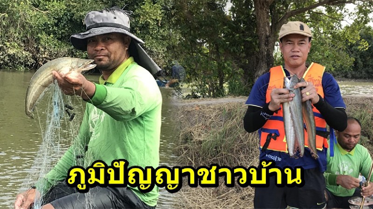 มีมาแต่โบราณ!! ภูมิปัญญาท้องถิ่นบ้านโนนแดง "ไม้ตีมอง" ทำให้จับปลาได้มาก แถมยังแบ่งขายเป็นรายได้เสริม