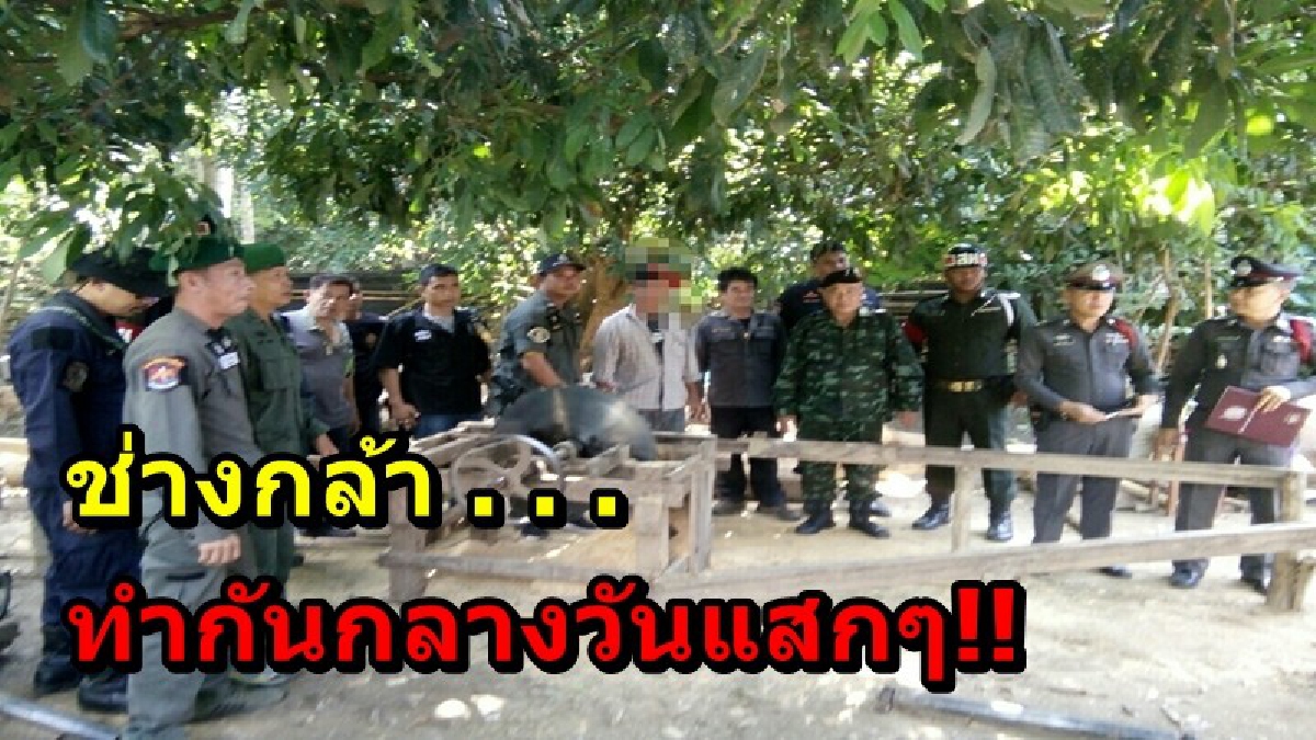 ทำกันกลางวันแสกๆ!! เจ้าหน้าที่บุกจับแก๊งมอดไม้ กำลังแปรรูปไม้สัก พอเห็นเจ้าหน้าที่ถึงกับกระเจิง แต่โดนรวบได้ 1 ราย