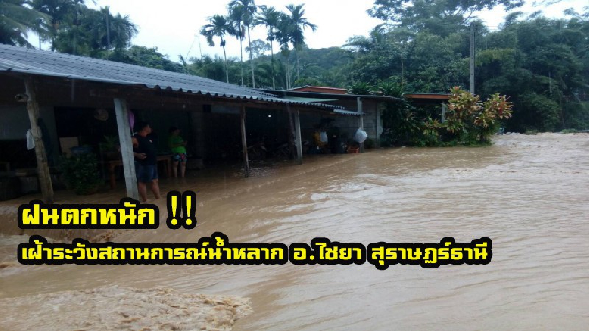 เฝ้าระวัง !! ฝนตกต่อเนื่องจนท.ได้เตรียมเรือท้องแบนและอุปกรณ์กู้ชีพไว้รองรับสถานการณ์น้ำท่วมฉับพลันที่ อ.ไชยยา จ.สุราษฏร์ธานี(คลิป)