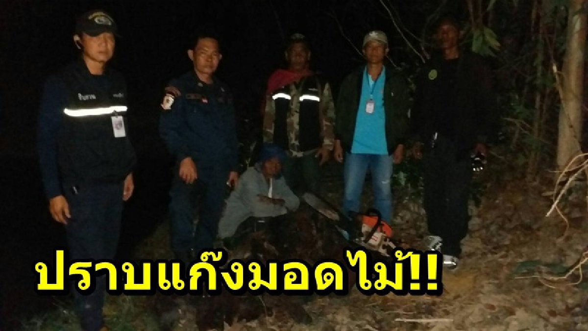ปราบแก๊งมอดไม้!! เจ้าหน้าที่เข้ารวบแก๊งลักลอบแปรไม้พะยูง แล้วซุกสระน้ำ พร้อมของกลางทั้งไม้และอุปกรณ์