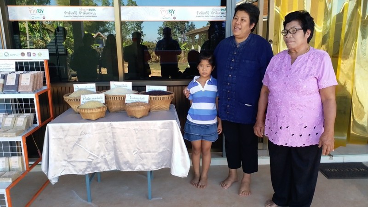 จากนางฟ้าชุดขาว สู่อาชีพ เกษตรกร ปลูกข้าวเกษตรอินทรีย์ ปลอดสารพิษมีคุณภาพ พัฒนาได้อย่างยั่งยืน!!