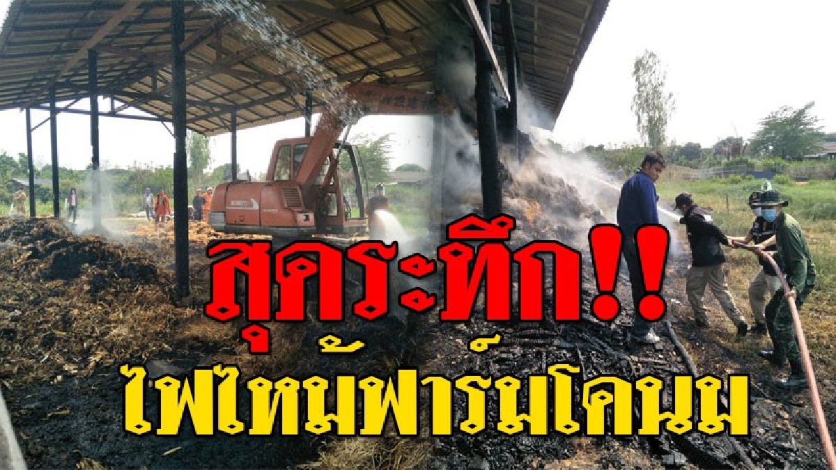แตกฮือ ! วินาทีระทึก เกิดเหตุไฟไหม้ "ฟาร์มโคนม" โรงเก็บอาหารวอด เสียหายกว่า 2 แสน..!?