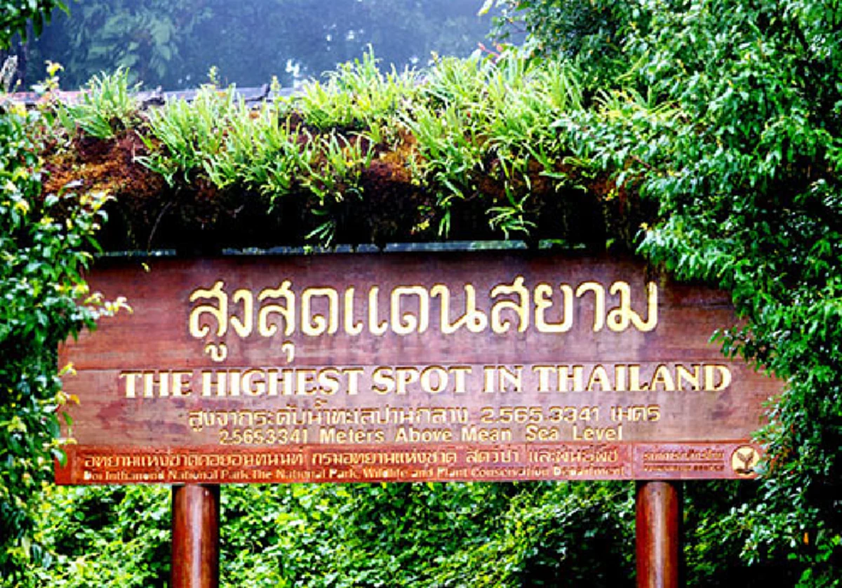 หนาวแล้ว !! ยอดดอยอินทนนท์ 6 องศาก์ นักท่องเที่ยวรอลุ้น หนาวสุดในรอบ 3 ปี (ภาพ+รายละเอียด) 