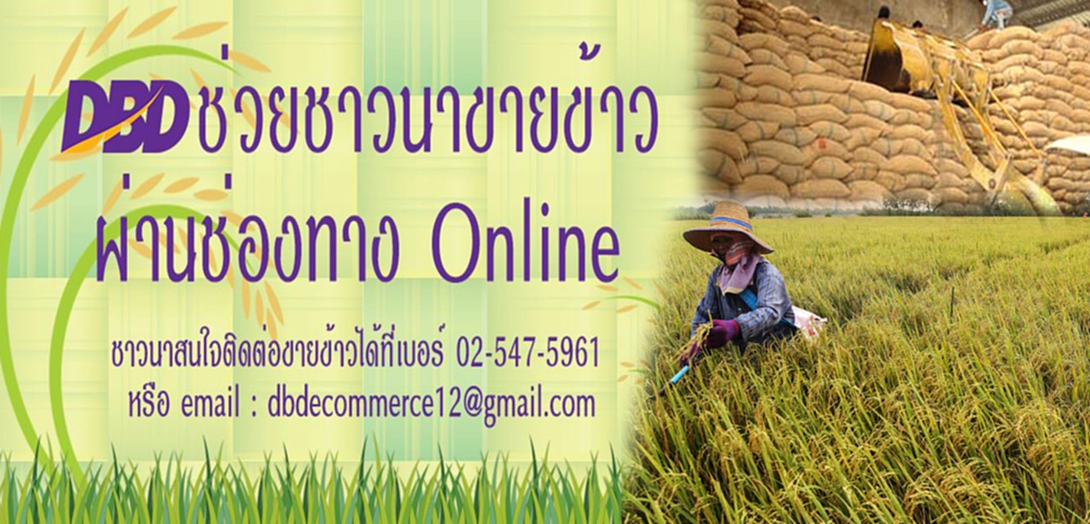 มีรัฐบาลชุดไหนทำแบบนี้!!! กรมพัฒนาธุรกิจการค้าเปิดช่องออนไลน์ สร้างหน้าร้านขายข้าวให้ชาวนา งานนี้รับรองสะเทือนทุกติ่งไส้นายทุน??