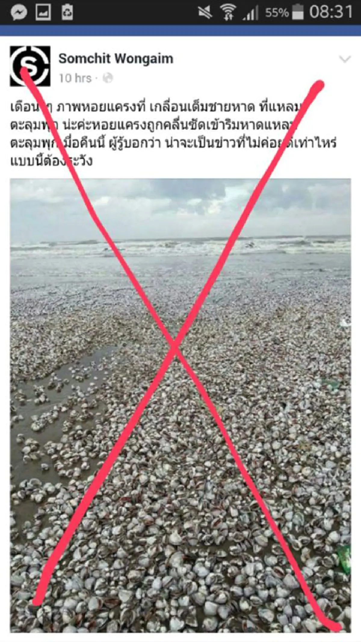 เหตุอาเพศ !!! "ก.ทรัพยากรทางทะเล" แจง "หอยแครงหาดตะลุมพุก" ...ชัดเลยที่แท้ไม่ใช่ประเทศไทย (รายละเอียด)