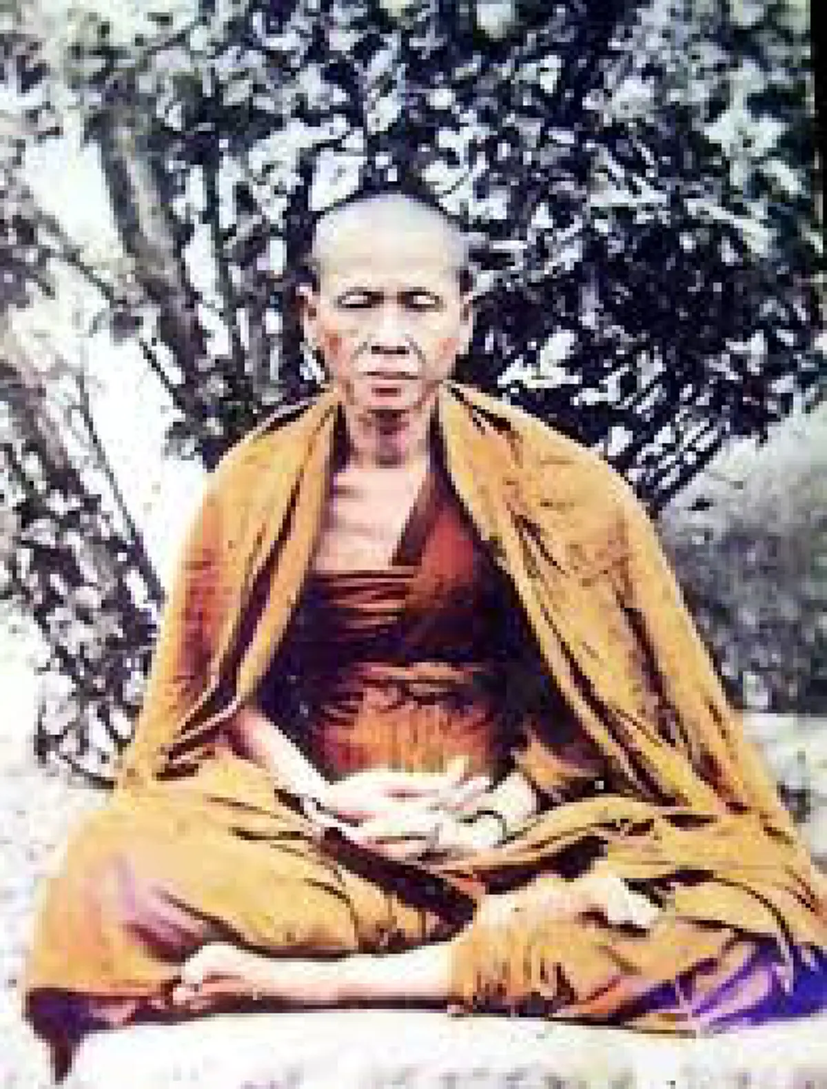 อดีตชาติครูบาศรวิชัย  ช้างป่าเลไลย์ อนาคตกาลข้างหน้าจะสำเร็จเป็นพระพุทธเจ้า หลวงปู่ตื้อย้ำชัด!!!