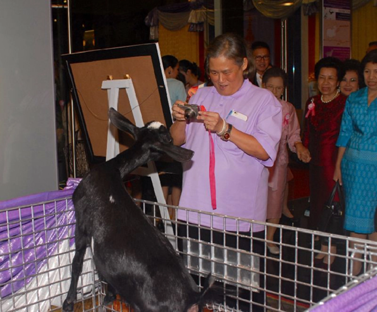สุดปลื้มปีติ!... เมื่อสมเด็จพระเทพฯ  พระราชทานพันธุ์แพะแบล็กเบงกอล ให้จังหวัดกระบี่..ขอพระองค์ทรงพระเจริญ