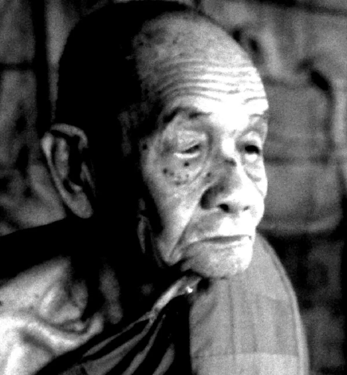 การฉันที่ถูกต้องตามธรรมวินัย กับการฉันมังสวิรัติ อันไหนจะบริสุทธิ์ แตกต่างเช่นไร โดย...หลวงปู่ดูลย์