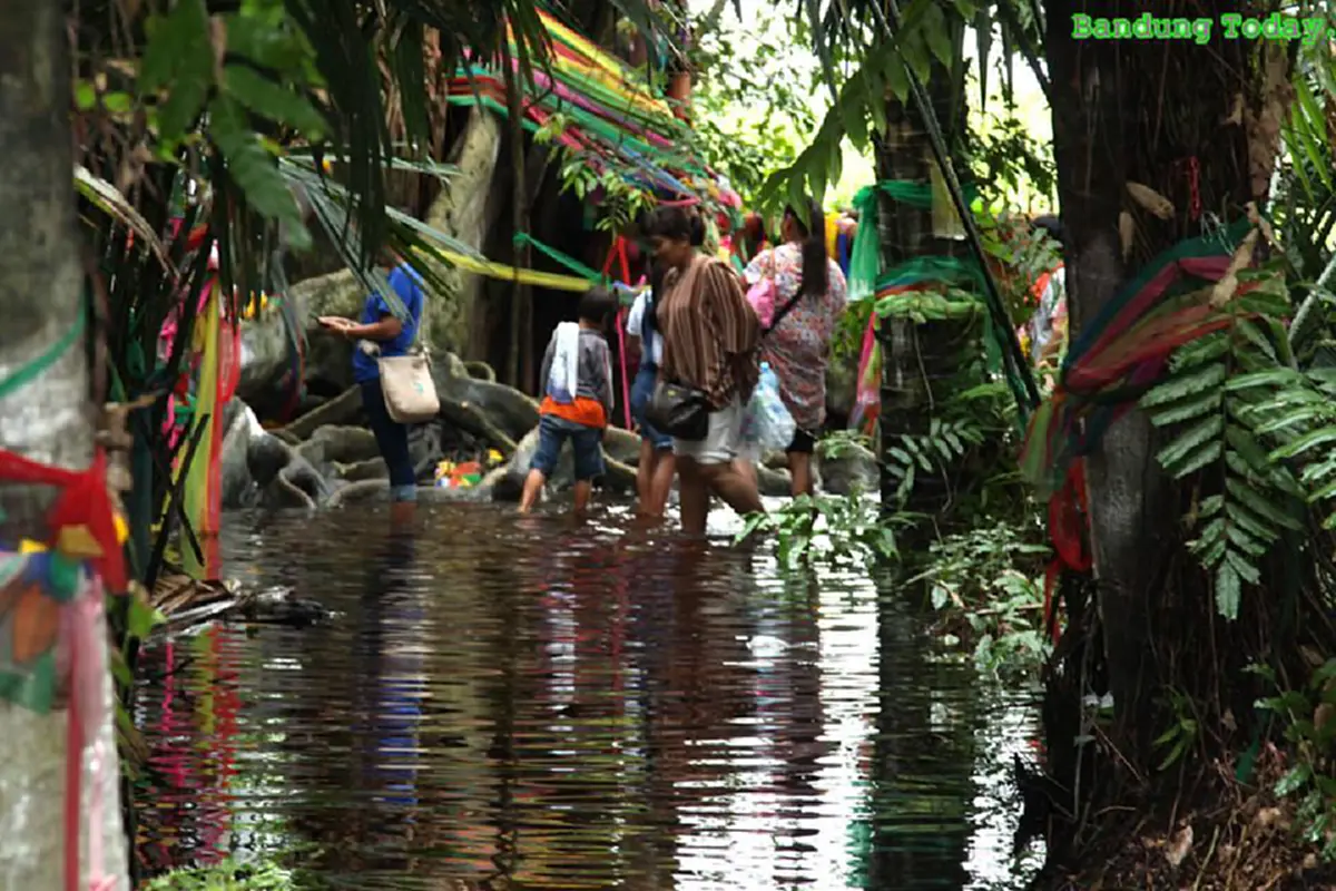 "ป่าคำชะโนด"ความเชื่อเกาะลอยที่อยู่พญานาค ชาวบ้านลุยน้ำสักการะ