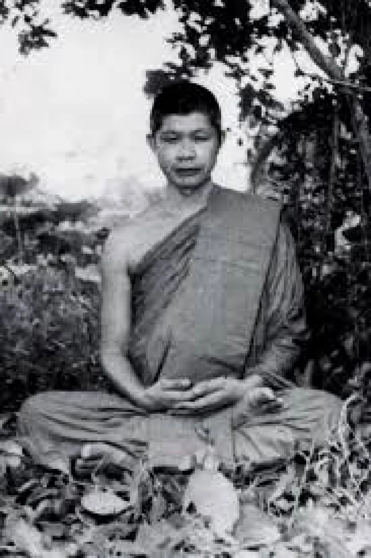 ธรรมกถาของหลวงพ่อวิริยังค์ ที่มีถึง ในหลวง รัชกาล 9 ในงานวันตักบาตรเทโวที่ผ่านมา