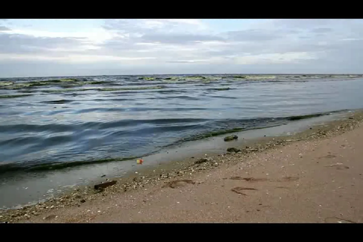 นักท่องเที่ยวแตกตื่น!! น้ำทะเลหาดบางแสนเป็นสีเขียวปี๋ แถมส่งกลิ่นเหม็นคาว!! (มีภาพ)