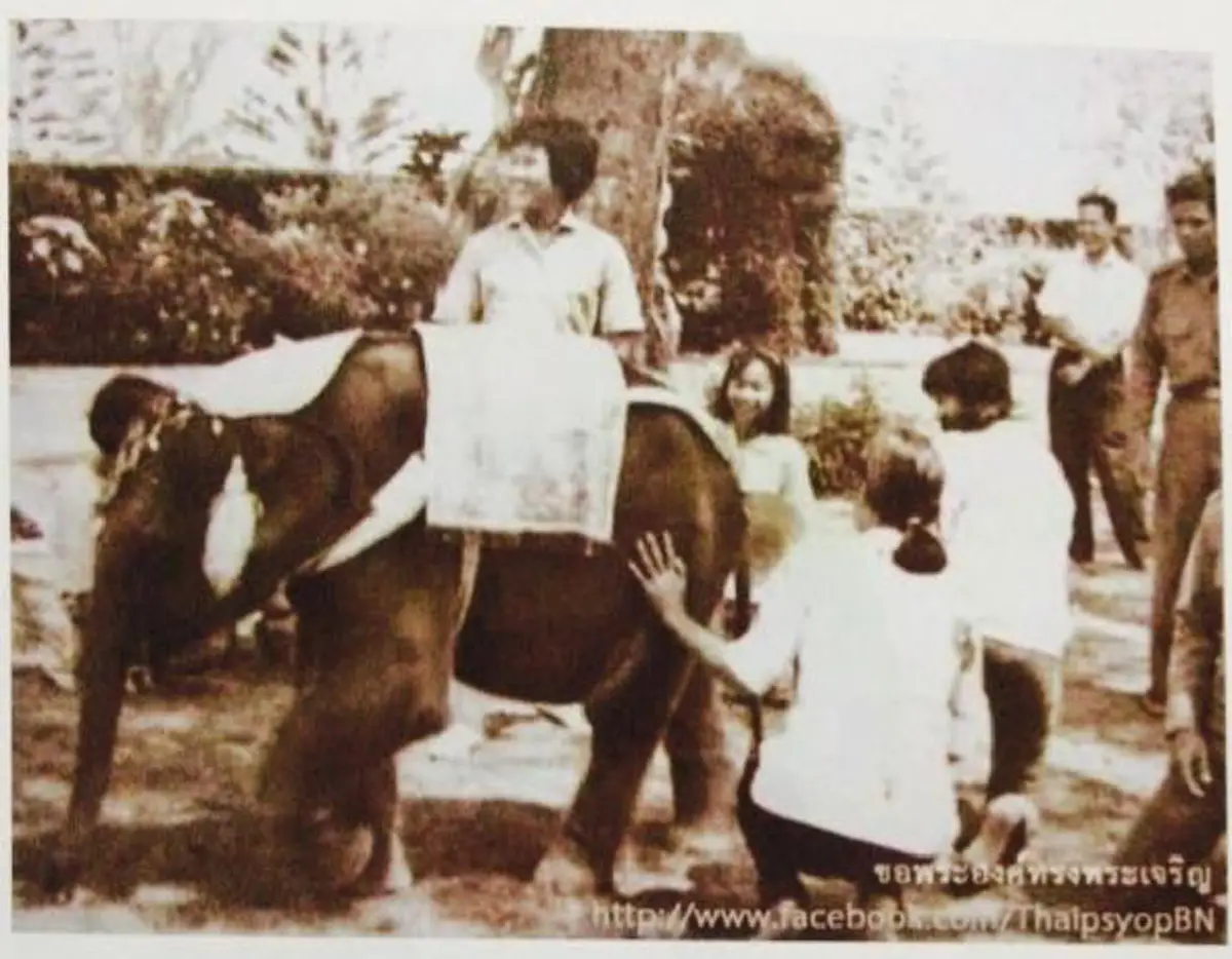 ฉันชอบช้างมากที่สุด ช้างทำอะไรได้หลายอย่าง...อีกเรื่องหนึ่งที่ทำให้ฉันต้องเกี่ยวข้องกับช้าง คือ....."  พระราชนิพนธ์ใน "สมเด็จพระเทพรัตนราชสุดาฯ"