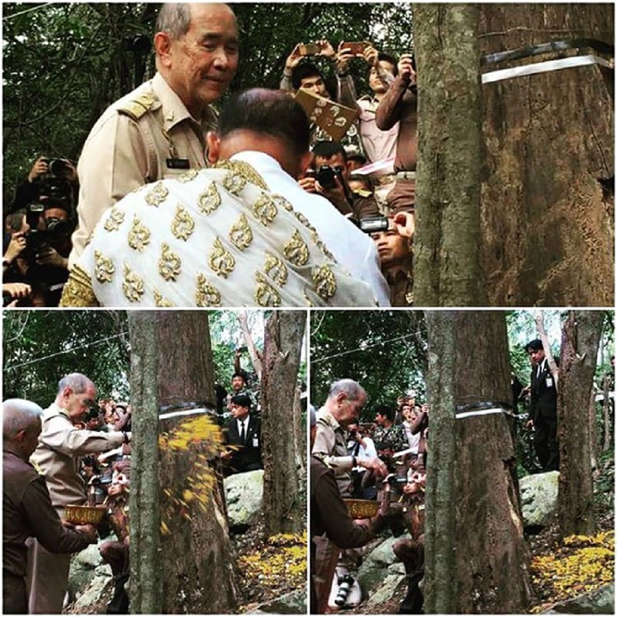 ทุกนาทีอยากให้เวลาช้าลง!!! น้ำตาซึม..ปธ.อนุรักษ์ป่ากุยบุรีอ่านกลอนถวายอาลัยพ่อหลวง เริ่มนำตัดไม้จันทร์หอมใช้พระราชพิธีถวายพระเพลิงพระบรมศพ 