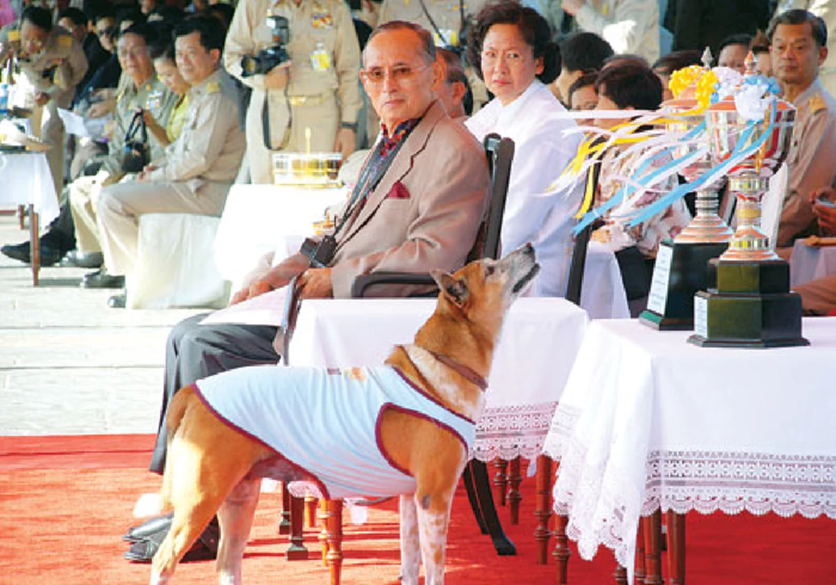 4 ธันวาคม วันที่ทุกคนรอคอย... พระสุรเสียงคุ้นหู พระราชดำรัสของในหลวงร.9 ใน "วันพ่อ" ที่มีแก่คณะบุคคลที่มาเฝ้าฯ ณ ศาลาดุสิดาลัย ครั้งสุดท้าย