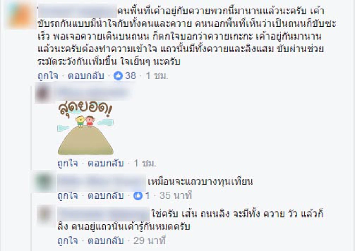 ควายหรือคนที่ผิด?? หนุ่มโพสต์คลิปควายเต็มถนนหวั่นเกิดอันตราย แต่ชาวเน็ตแห่คอมเม้นท์ควรใช้ความระมัดระวัง (คลิป)