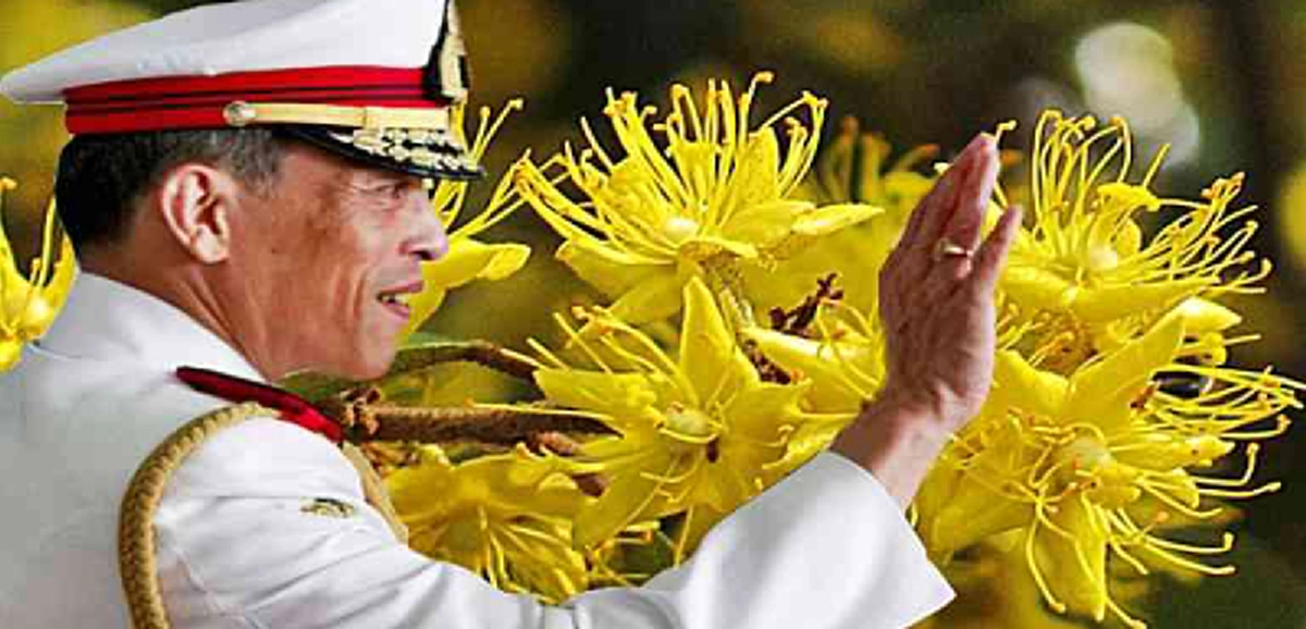 เหตุใดต้นรวงผึ้ง จึงเป็นพรรณไม้ประจำพระองค์ รัชกาลที่ 10