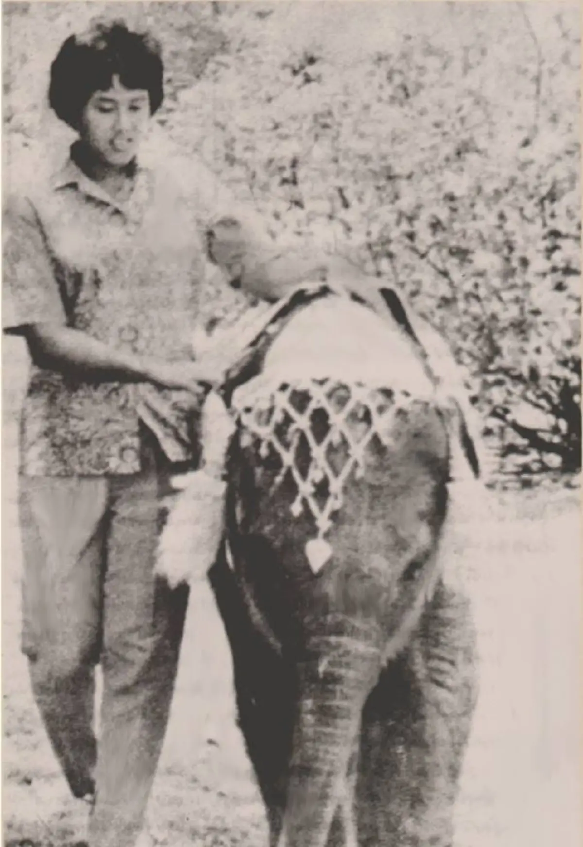 น้องน้อยของพี่ชาย.. "พระเจ้าอยู่หัว ร.๑๐" ทรงเป็นพระองค์แรกที่เรียกพระนามแฝง "สมเด็จพระเทพฯ" ว่า "ป้าช้าง"