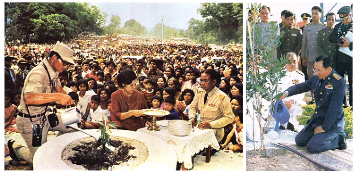 ตามรอยพ่ออยู่หัว รัชกาลที่๙ ด้วย ๖ วัด ๙ ต้นไม้ของพ่อที่ทรงปลูกในกรุงเทพ