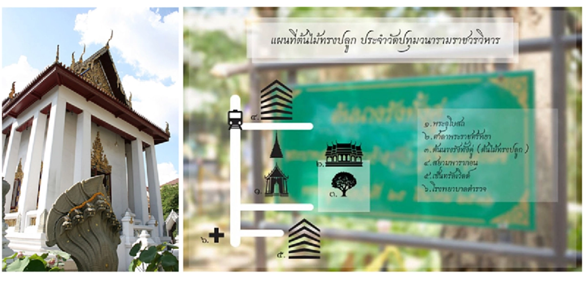 ตามรอยพ่ออยู่หัว รัชกาลที่๙ ด้วย ๖ วัด ๙ ต้นไม้ของพ่อที่ทรงปลูกในกรุงเทพ