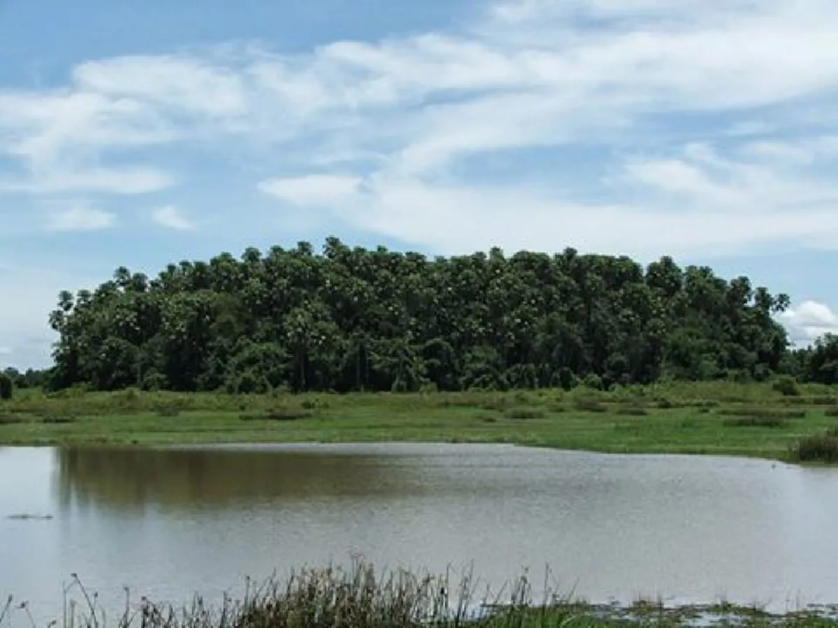 เผยตำนานป่าอาถรรพณ์ เกาะประหลาดลอยน้ำ มีต้นชะโนดแห่งเดียวในโลก เป็น แลนด์มาร์ก ทางเชื่อมไปบาดาล