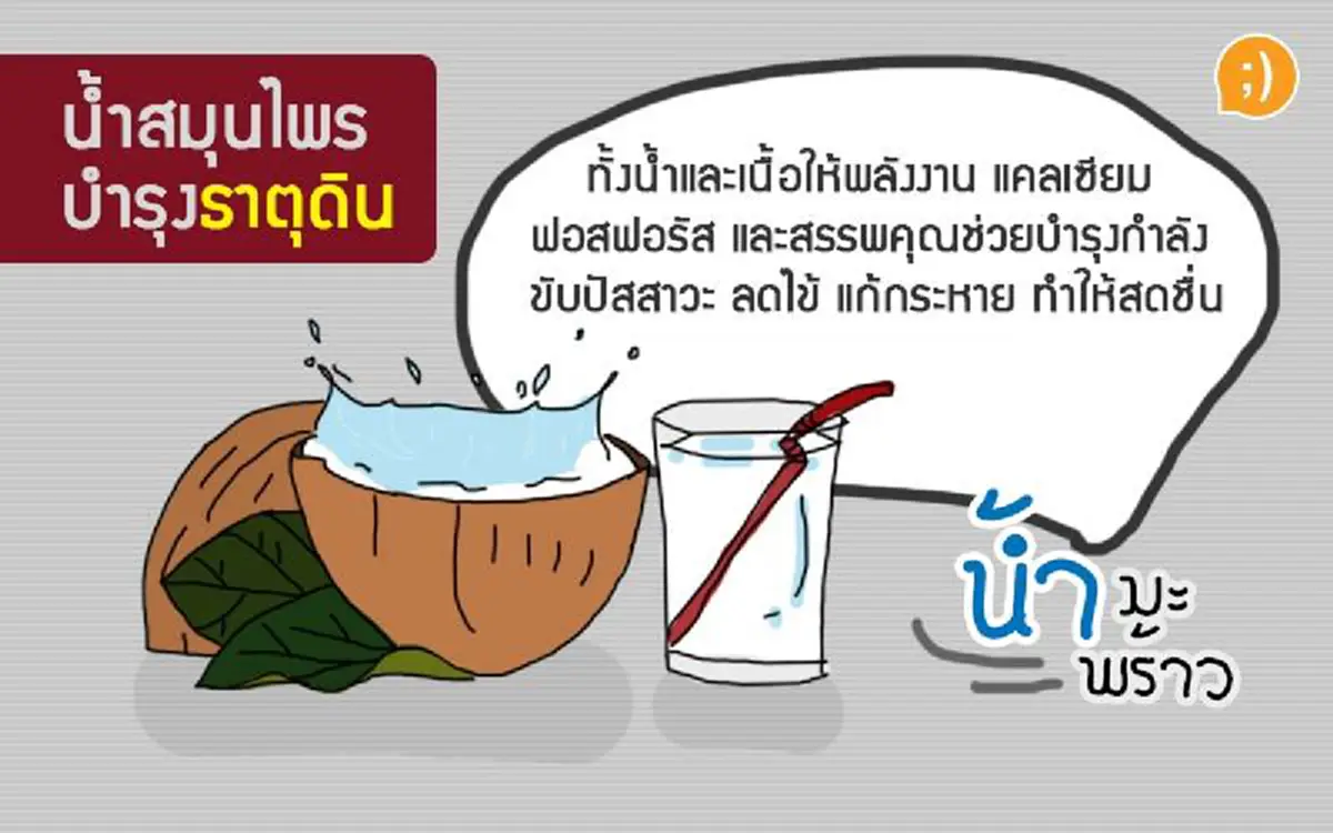 เพื่อธาตุทั้ง4!! รู้หรือยังดื่มสมุนไพรใด เหมาะกับธาตุในร่างกายเราที่สุด???