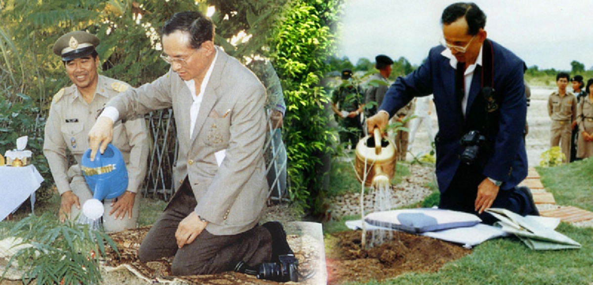 "รับรองต้องตุ้มต๊ะตุ้มตุ้ยเหมือนคนปลูก" พระราชอารมณ์ขันของพระเทพฯ เมื่อทรงปลูกต้นไม้พระราชทาน