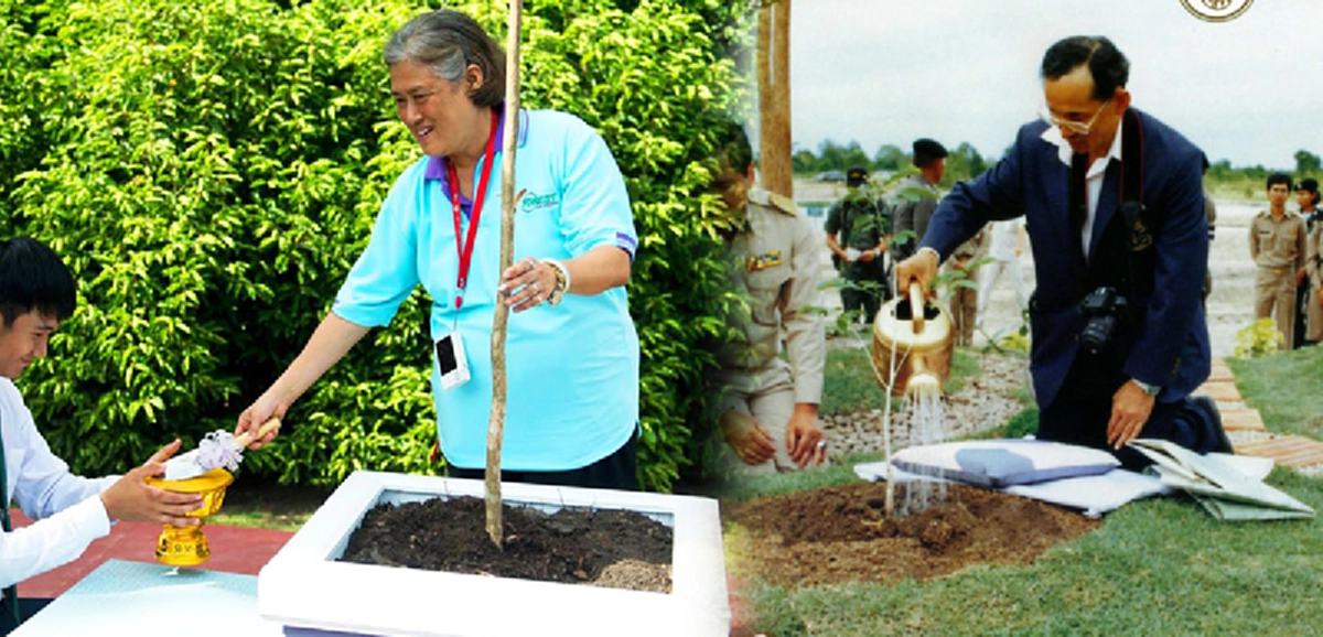 "รับรองต้องตุ้มต๊ะตุ้มตุ้ยเหมือนคนปลูก" พระราชอารมณ์ขันของพระเทพฯ เมื่อทรงปลูกต้นไม้พระราชทาน
