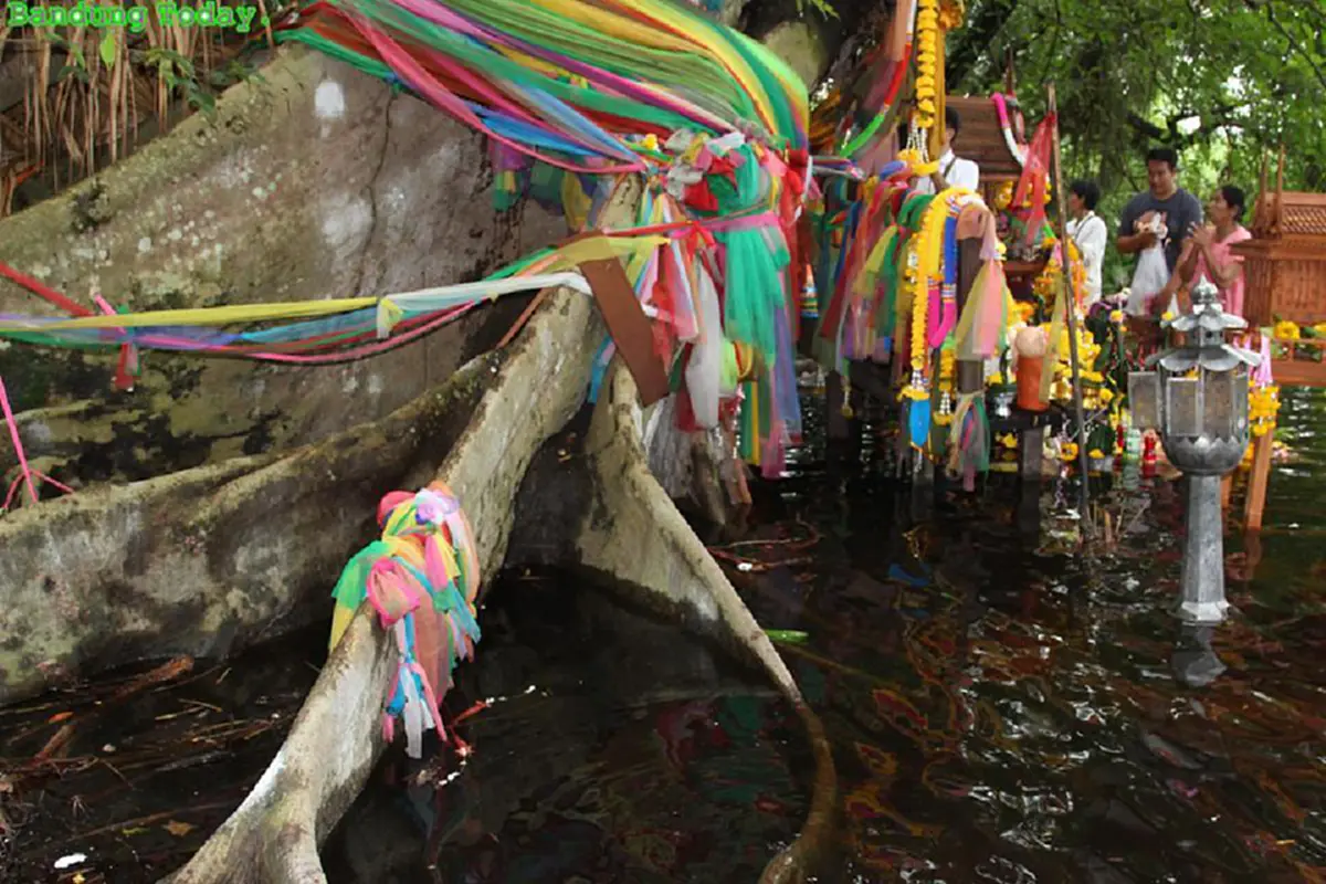 "ป่าคำชะโนด"ความเชื่อเกาะลอยที่อยู่พญานาค ชาวบ้านลุยน้ำสักการะ