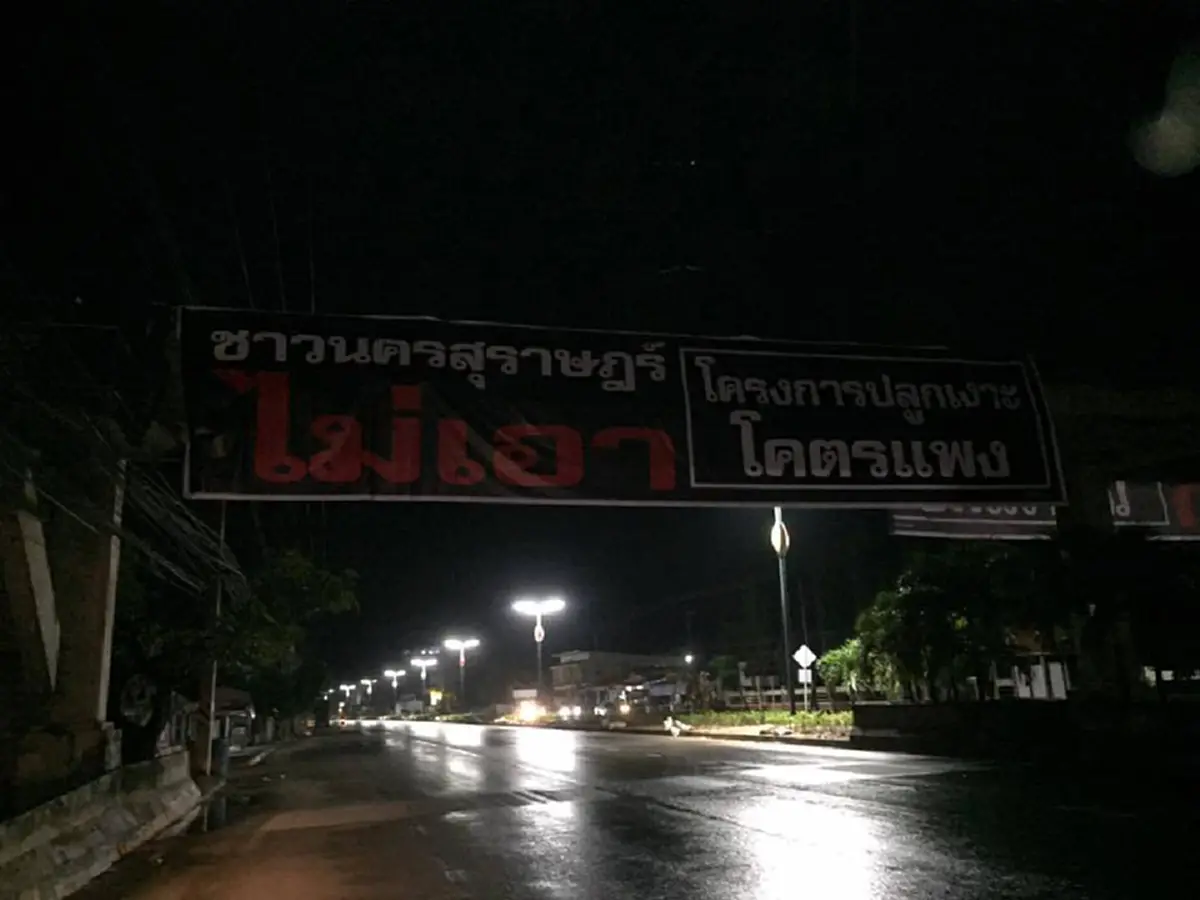 บานปลายแล้ว!!! คนสุราษฎร์ขึ้นป้ายจัดหนักรับไม่ได้นโยบายปลูกเงาะบนเกาะกลางถนนใช้งบฯสิ้นเปลืองส่อทุจริต??