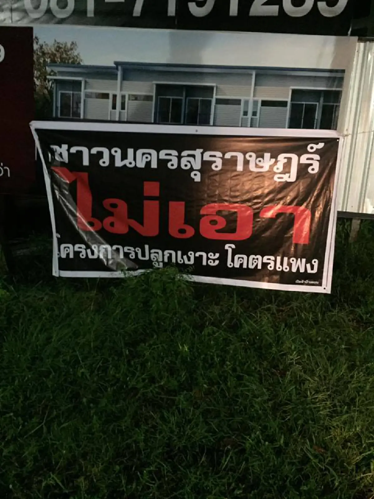 บานปลายแล้ว!!! คนสุราษฎร์ขึ้นป้ายจัดหนักรับไม่ได้นโยบายปลูกเงาะบนเกาะกลางถนนใช้งบฯสิ้นเปลืองส่อทุจริต??
