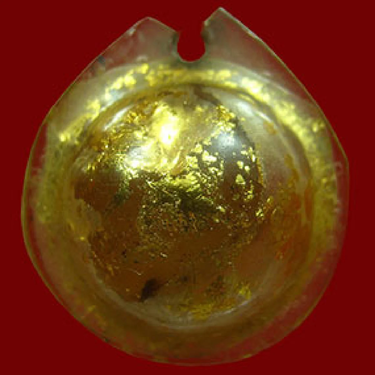 มาทำความรู้จัก... "ว่านดอกทอง"ที่สุดแห่งว่านมหาเสน่ห์ สรรพคุณ เมตตามหานิยม จาก ละคร "นาคี"