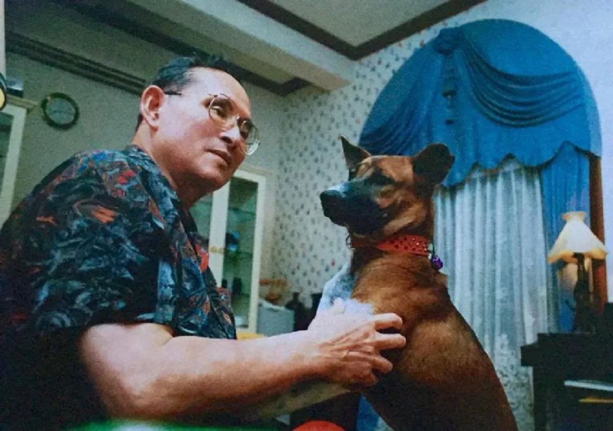 พระราชดำรัสในหลวงร.9 "พันทางบ้านเราจริงๆแล้วเป็นหมาที่ฉลาดมาก" เรื่องยืนยันคุณทองแดงฟังรู้ภาษา ปฏิบัติตามโอวาทได้ถูกต้องเสมอ