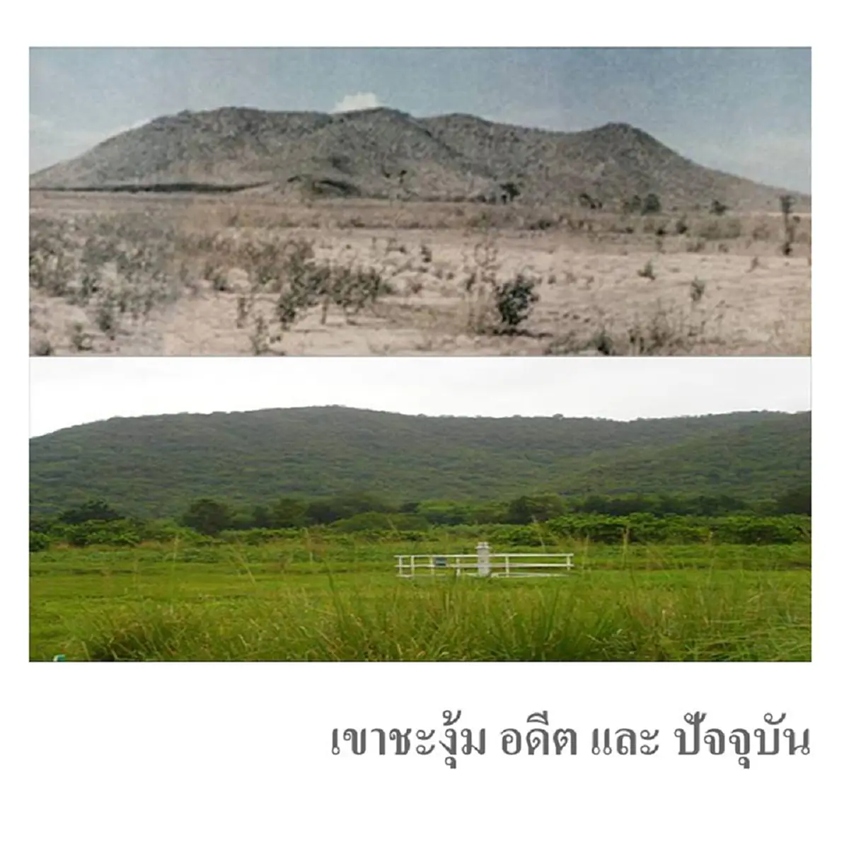 งดงามด้วยภาพและความหมาย ศิลปินหนุ่ม สร้างประติมากรรม พระบรมฉายาลักษณ์ในหลวงรัชกาลที่๙ ที่เขาชะงุ้ม เพื่อสื่อว่าท่านยังคงเด่นชัดในความทรงจำของเราเสมอ