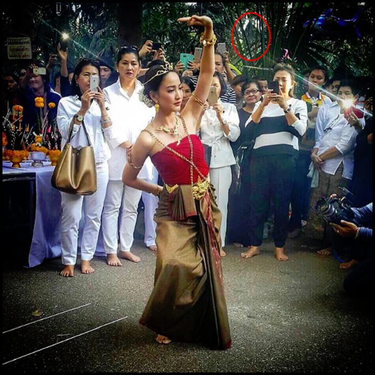 แชร์สนั่น!!! ชาวเน็ตจับผิด "ภาพพญานาค" กำลังชม "คำแก้ว" รำบวงสรวงที่ป่าคำชะโนด งานนี้จริงหรือไม่? ถึงกับต้องเพ่งตาแทบพัง!!! (มีภาพ)