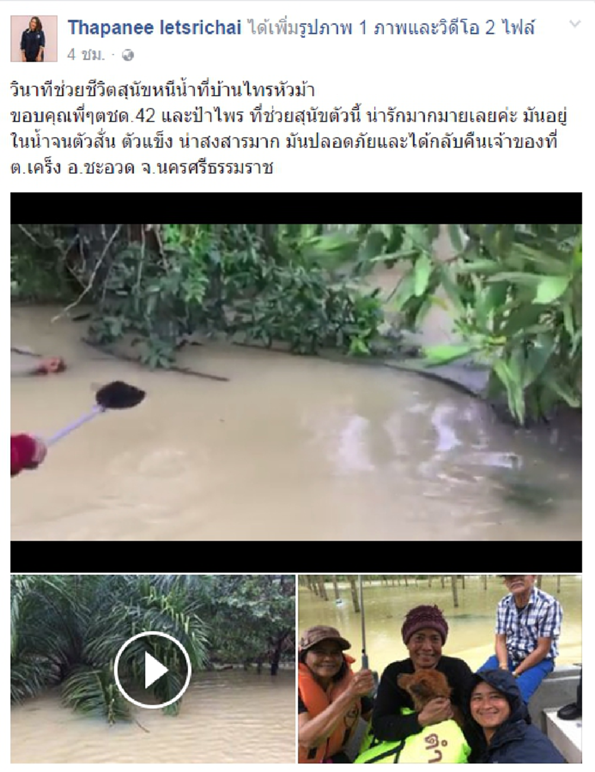 คลิปนี้ทำหลายคนน้ำตาไหล! วินาทีช่วยชีวิตสุนัขดิ้นรนหนีตายน้ำท่วม บอกเลยควรดูจนจบแล้วคุณจะรู้ว่าความรักอาทรต่อสัตว์สักตัวมันยิ่งใหญ่แค่ไหน