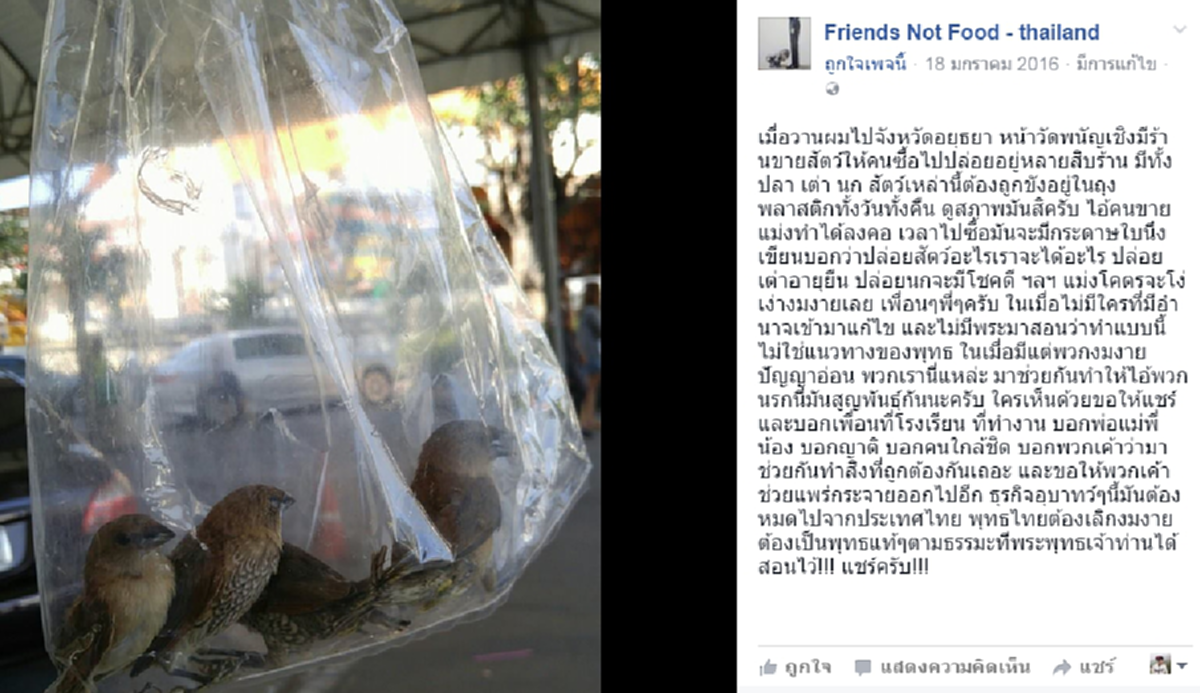 หยุดรังแกกัน!!! เพจดังโพสต์แฉ "ร้านขายสัตว์ปล่อย" วัดดัง บอกปล่อยแล้วได้บุญ แต่พอเจอสภาพสัตว์แล้วสุดหดหู่ ไม่รู้ได้บุญหรือบาป??