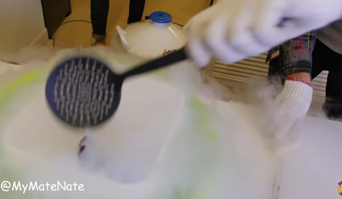 งานเข้า!!! ชาวเน็ตรุมสวด "My Mate Nate" หลังทำคลิป จับปลาตัวเป็นๆ มาทดลองแช่แข็ง ชี้อาจเข้าข่ายทรมารสัตว์!!! (มีคลิป)